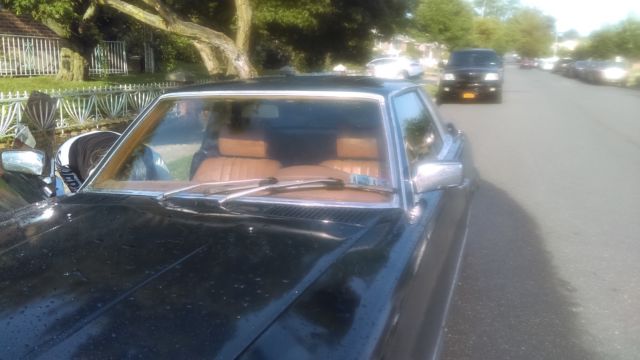 1979 Mercedes-Benz 400-Series - photo 13