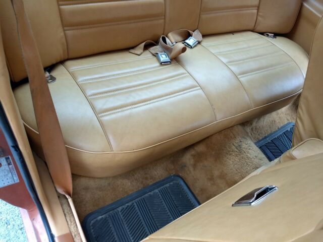 1979 Mercury Zephyr Z-7 - photo 13