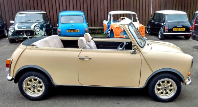 1979 Mini Classic Mini - photo 3