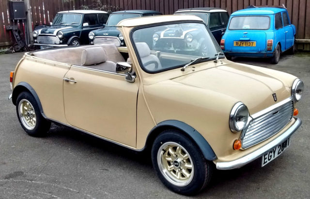 1979 Mini Classic Mini - photo 6