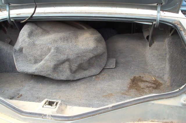 1979 Lincoln Mark Series - photo 12