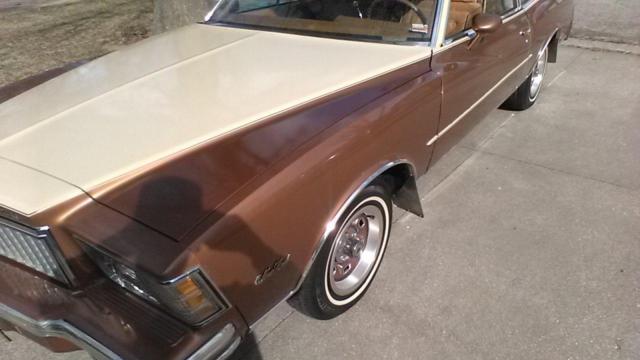 1979 Chevrolet Monte Carlo Sport Coupe - photo 4