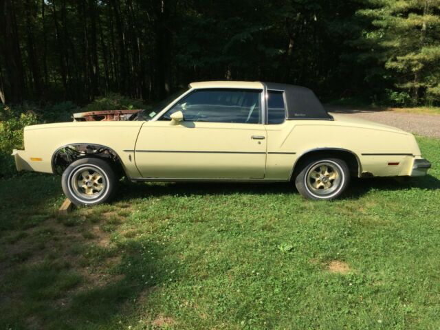 1979 Oldsmobile Cutlass Coupe - photo 3