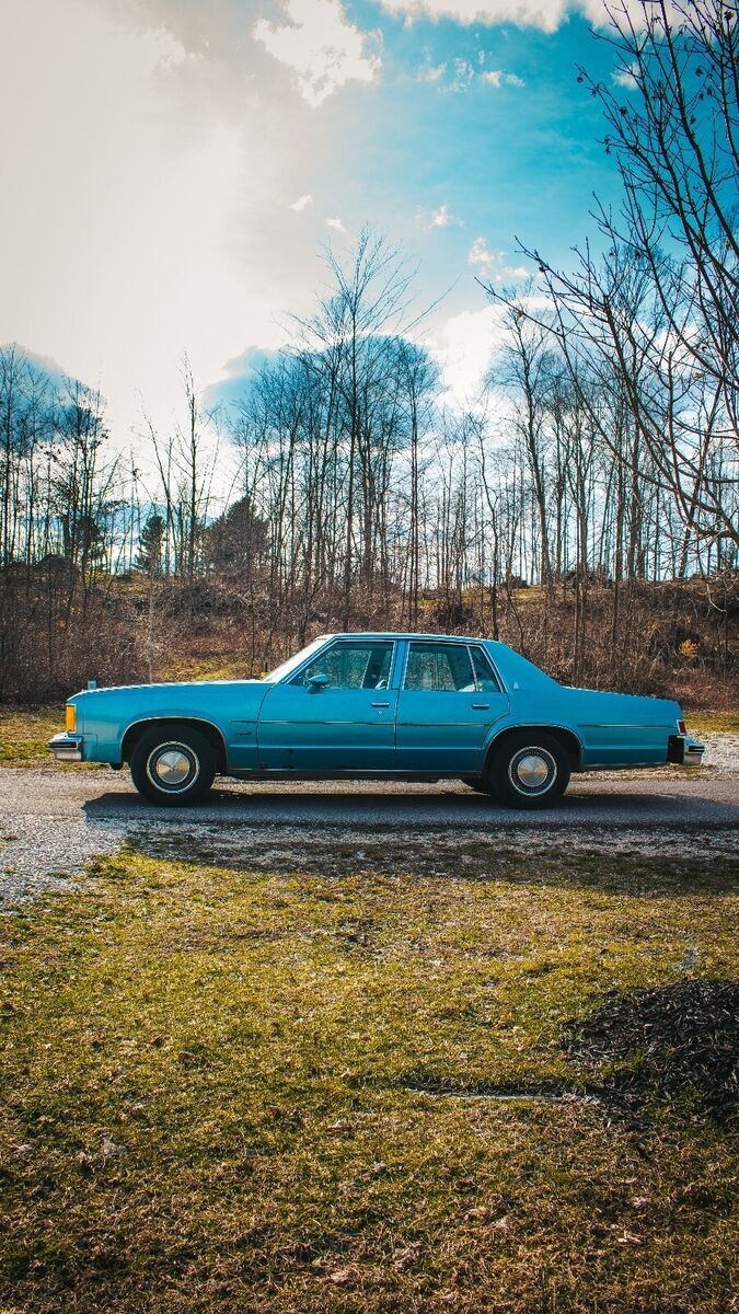 1979 Oldsmobile 88 Royale - photo 5