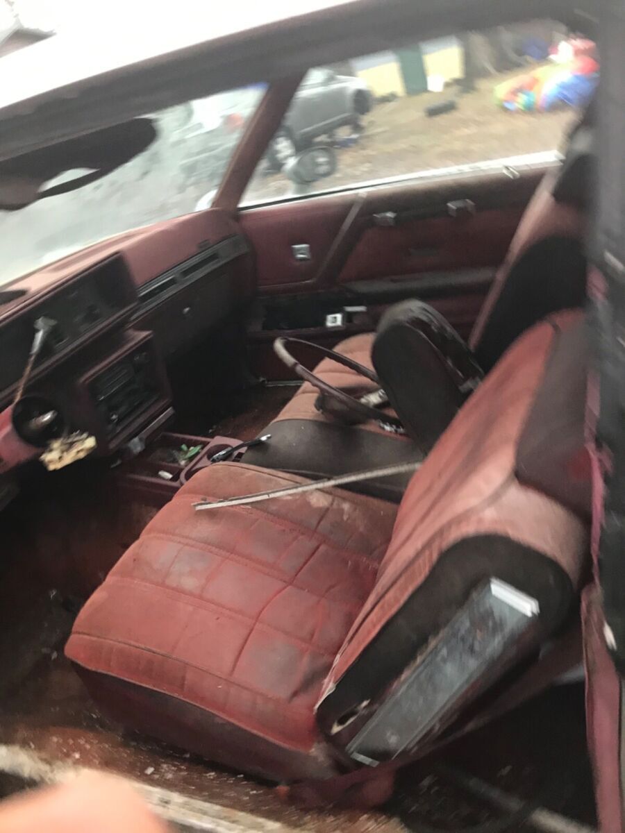 1979 Oldsmobile Cutlass - photo 3