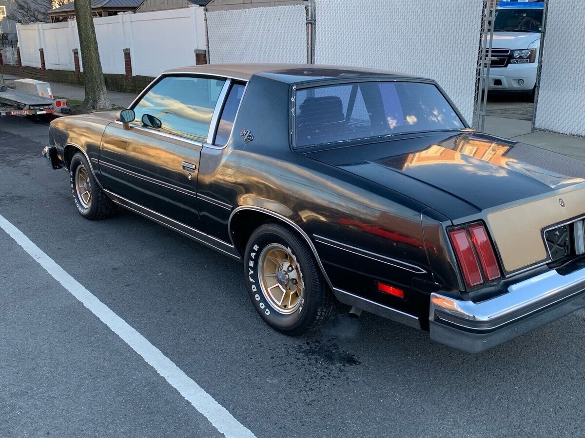 1979 Oldsmobile Cutlass Hurst W-30 - photo 3