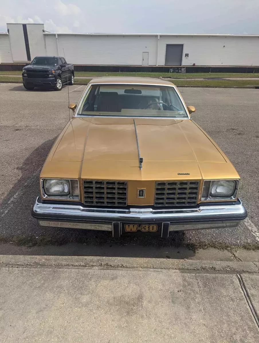 1979 Oldsmobile Cutlass Black w30 Hurst olds 1979 Oldsmobile Cutlass w30 Hurst olds