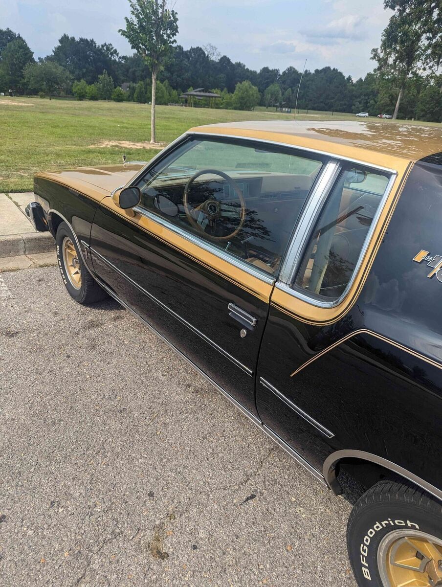 1979 Oldsmobile Cutlass w30 Hurst olds - photo 10