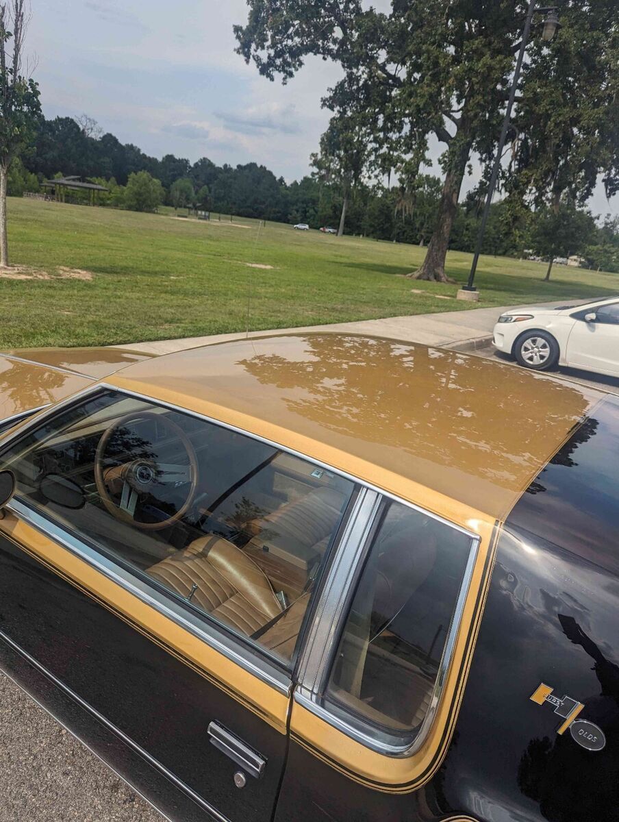 1979 Oldsmobile Cutlass w30 Hurst olds - photo 12