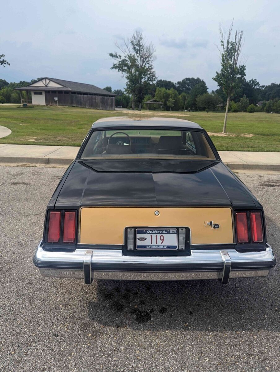 1979 Oldsmobile Cutlass w30 Hurst olds - photo 7