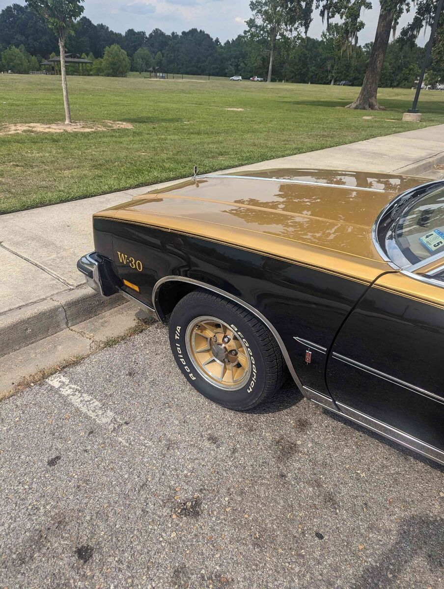 1979 Oldsmobile Cutlass w30 Hurst olds - photo 9