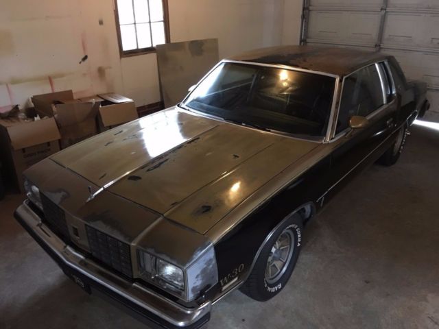 1979 Oldsmobile Cutlass Hurst Olds W-30 - photo 2