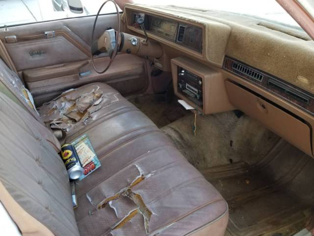 1979 Oldsmobile Custom Cruiser - photo 5