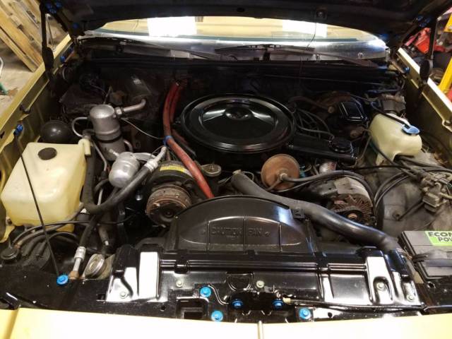 1979 Oldsmobile Cutlass Hurst Olds W30 - photo 10