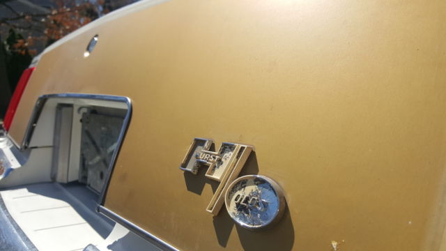 1979 Oldsmobile Cutlass Hurst Olds W30 - photo 7