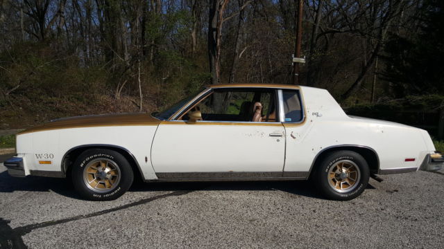 1979 Oldsmobile Cutlass Hurst Olds W30 - photo 9