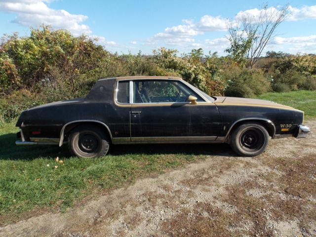 1979 Oldsmobile Cutlass Calais Hurst/Olds - photo 2