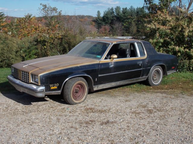 1979 Oldsmobile Cutlass Calais Hurst/Olds - photo 3