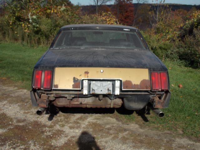 1979 Oldsmobile Cutlass Calais Hurst/Olds - photo 7