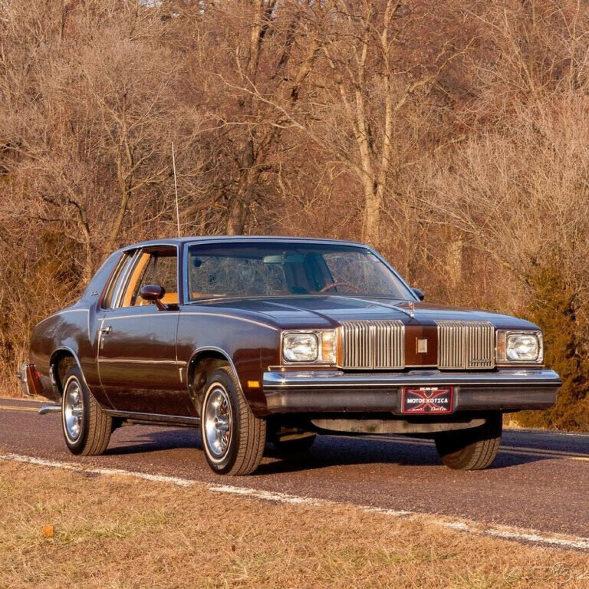 1979 Oldsmobile Cutlass Coupe