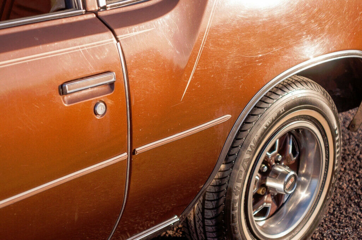 1979 Oldsmobile Cutlass Coupe - photo 6