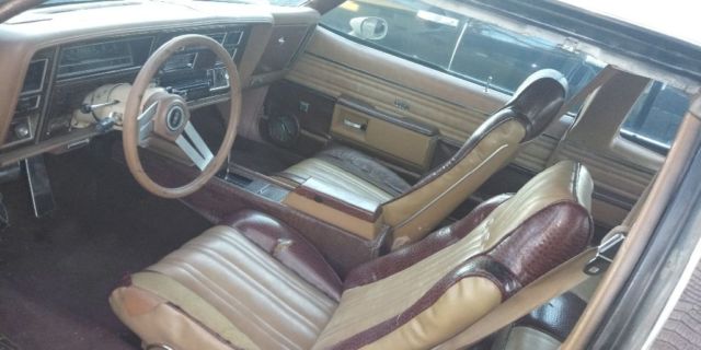 1979 Oldsmobile Eighty-Eight Holiday - photo 8