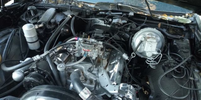 1979 Oldsmobile Eighty-Eight Holiday - photo 9