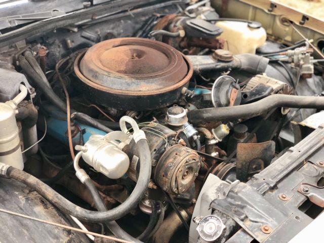 1979 Oldsmobile Cutlass - photo 13