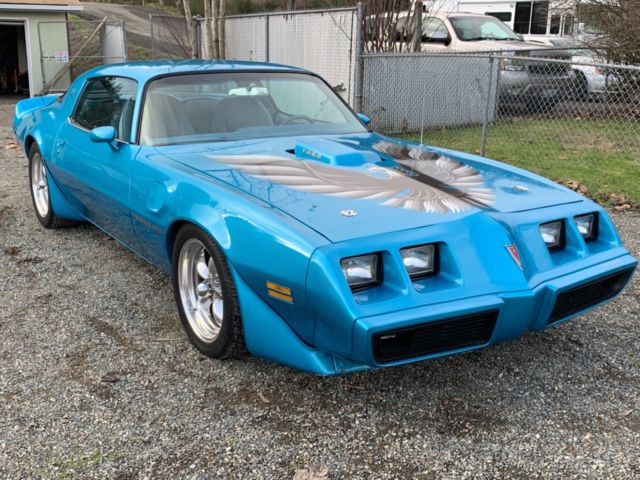 1979 Pontiac Trans Am transam
