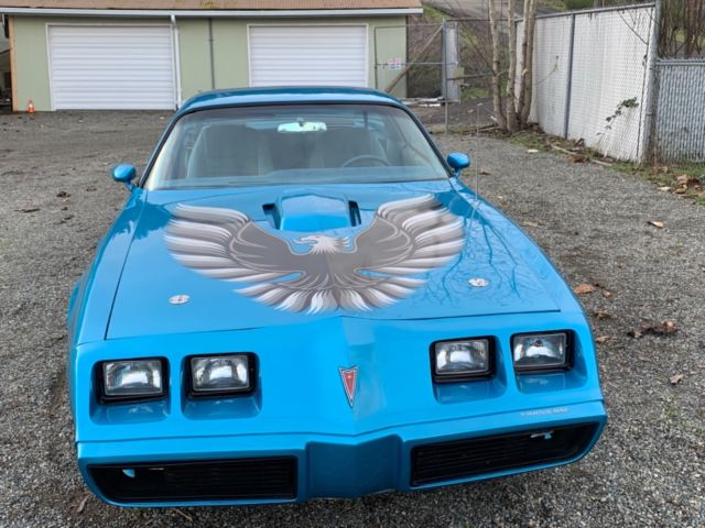 1979 Pontiac Trans Am transam - photo 6