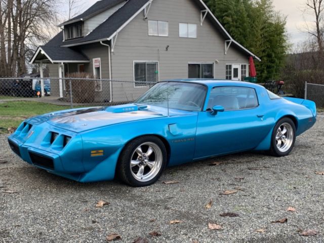 1979 Pontiac Trans Am transam - photo 8