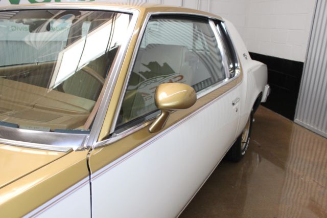 1979 Oldsmobile W30 Cutlass Calais Hurst - photo 6