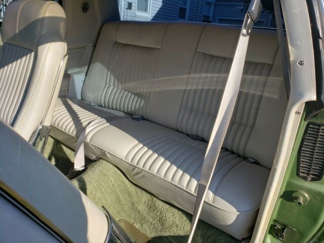 1979 Oldsmobile Cutlass Calias - photo 10