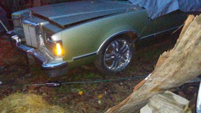 1979 Mercury Cougar - photo 2