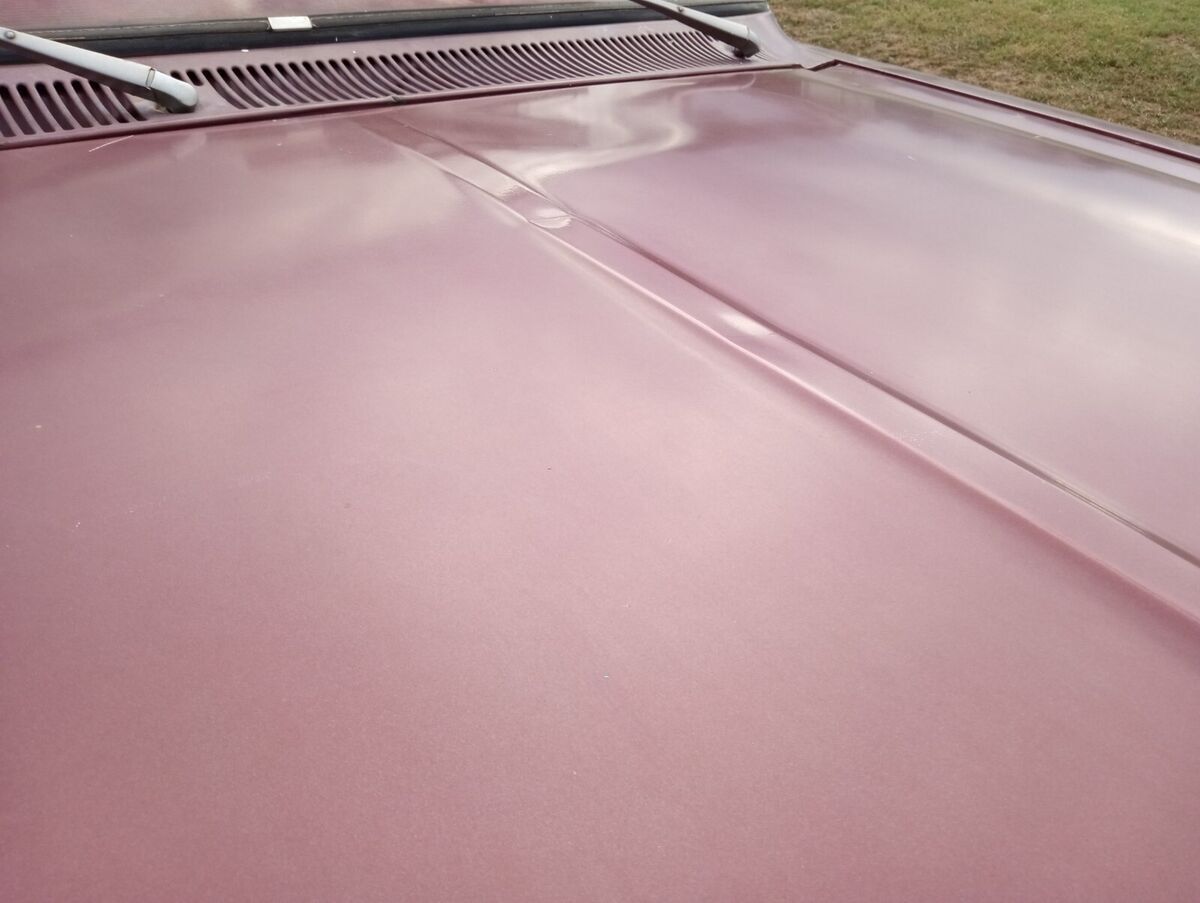 1979 Dodge Other Pickups SPORT/SPECIAL EDITION - photo 13