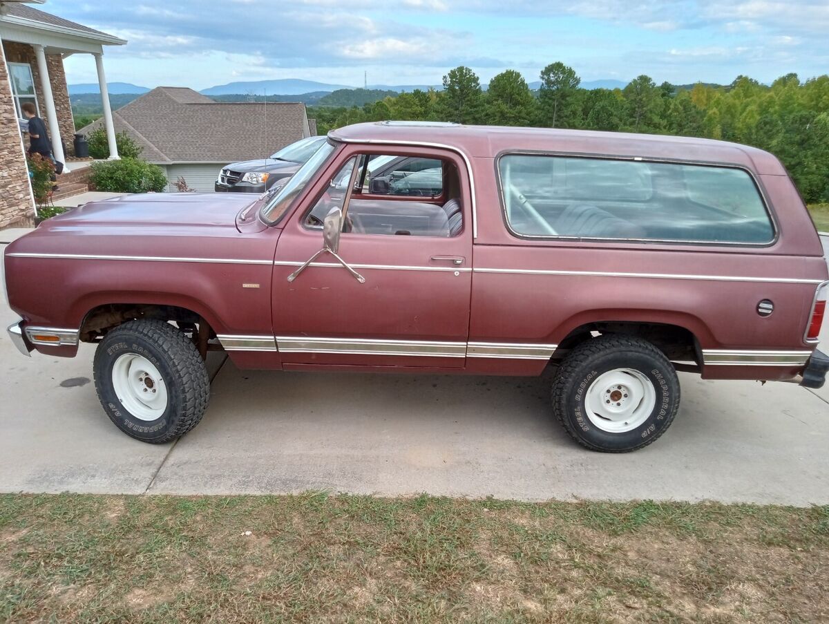 1979 Dodge Other Pickups SPORT/SPECIAL EDITION - photo 4