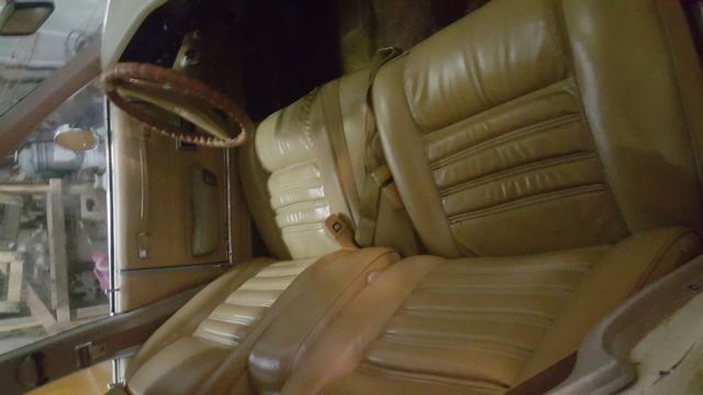 1979 Plymouth Other Premier - photo 2