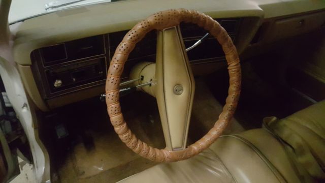 1979 Plymouth Other Premier - photo 3
