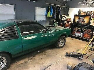 1979 Plymouth Road Runner Volare - photo 3