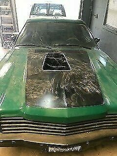 1979 Plymouth Road Runner Volare - photo 5