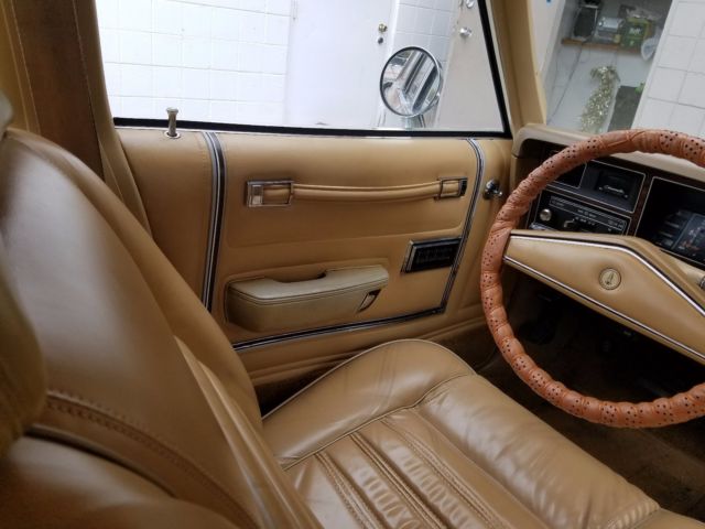 1979 Plymouth Other Premier - photo 11
