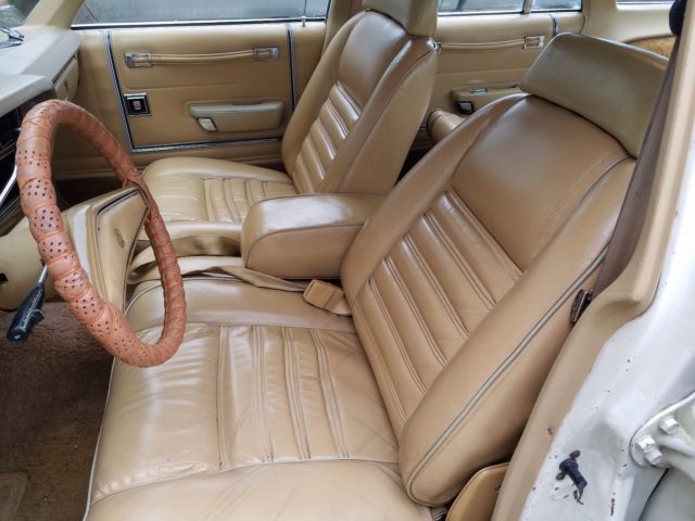 1979 Plymouth Other Premier - photo 6