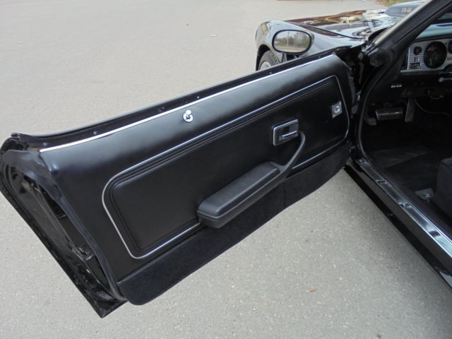 1979 Pontiac Trans Am T Top - photo 13