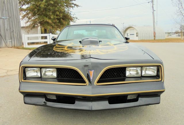1979 Pontiac Trans Am T Top - photo 6