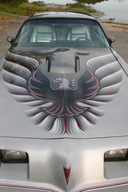 1979 Pontiac Trans Am 10th Anniversary - photo 13