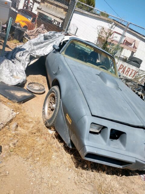 1979 Pontiac Trans Am - photo 2