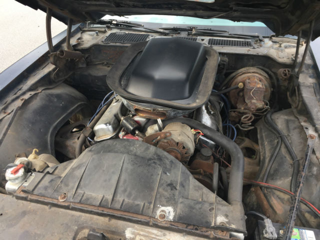 1979 Pontiac Trans Am Trans Am - photo 7
