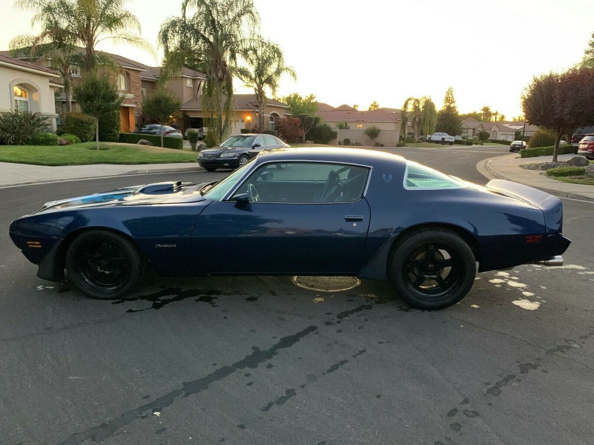 1979 Pontiac Firebird - photo 10
