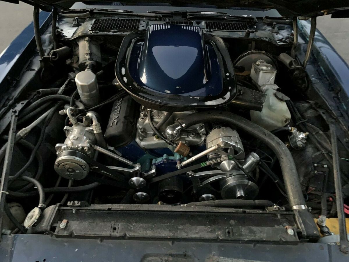 1979 Pontiac Firebird - photo 2