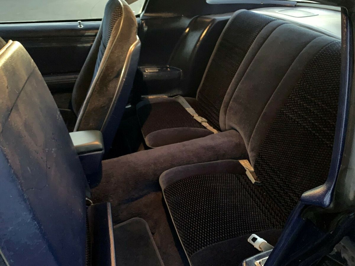 1979 Pontiac Firebird - photo 5